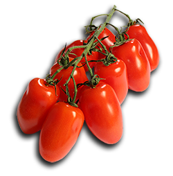 tomatoes